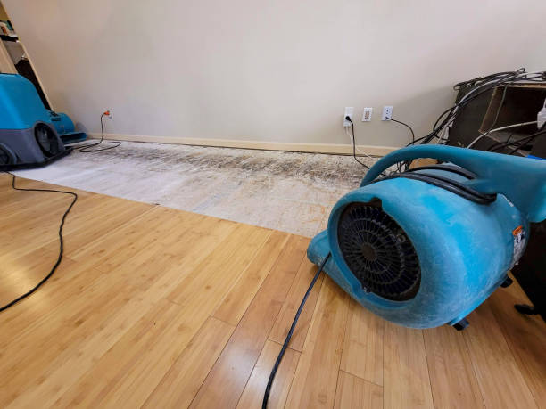 Professional Sewage Cleanup technician working in Dearborn Heights, MI